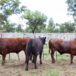 WhatsApp Image 2021-12-13 at 20.49.43