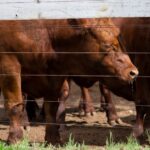 WhatsApp Image 2021-12-13 at 20.49.46