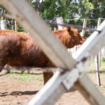 WhatsApp Image 2021-12-13 at 20.49.54