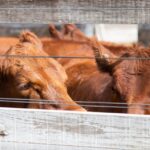 WhatsApp Image 2021-12-13 at 20.49.55