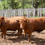 WhatsApp Image 2021-12-13 at 20.50.13