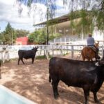 WhatsApp Image 2021-12-13 at 20.50.16