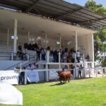 WhatsApp Image 2021-12-14 at 23.41.15 (1)