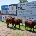 WhatsApp Image 2021-12-14 at 23.41.15