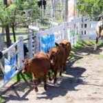 WhatsApp Image 2021-12-14 at 23.41.18