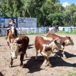 WhatsApp Image 2021-12-14 at 23.41.21 (1)