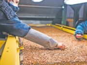 El Gobierno redujo retenciones a las exportaciones de decenas de productos de economías regionales