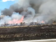 San Luis: combaten incendios forestales en tres puntos de la provincia