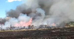 San Luis: combaten incendios forestales en tres puntos de la provincia
