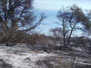 San Luis: controlaron el incendio forestal en las inmediaciones de Toro Negro