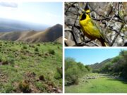 Nuevos horarios de verano para visitar las Áreas Naturales Protegidas de San Luis