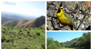 Nuevos horarios de verano para visitar las Áreas Naturales Protegidas de San Luis