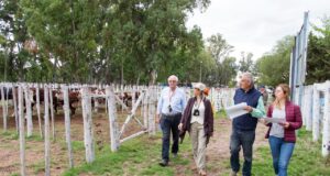 Destacan el «escenario prometedor» para exportar carne bovina de calidad desde San Luis
