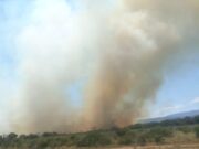 San Luis: combaten un incendio forestal en inmediaciones de Toro Negro