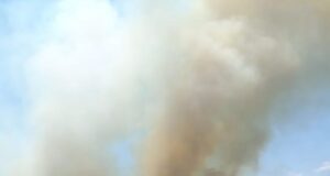 San Luis: combaten un incendio forestal en inmediaciones de Toro Negro