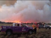Controlaron el incendio en Buena Esperanza; continúan trabajando en Lafinur y Puerta Colorada