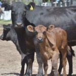 WhatsApp Image 2022-01-27 at 12.24.14