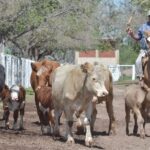 WhatsApp Image 2022-01-27 at 12.24.23