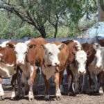 WhatsApp Image 2022-01-27 at 12.24.25 (1)