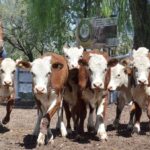 WhatsApp Image 2022-01-27 at 12.24.25