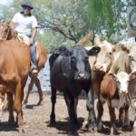 WhatsApp Image 2022-01-27 at 12.24.26