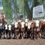 WhatsApp Image 2022-01-27 at 12.27.19