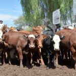 WhatsApp Image 2022-01-27 at 12.27.21 (1)