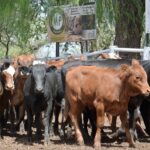 WhatsApp Image 2022-01-27 at 12.27.21