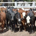 WhatsApp Image 2022-01-27 at 12.27.23