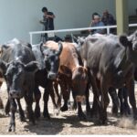 WhatsApp Image 2022-01-27 at 12.27.25 (1)