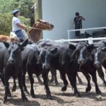 WhatsApp Image 2022-01-27 at 12.27.25