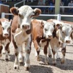 WhatsApp Image 2022-01-27 at 12.27.26