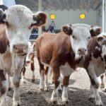 WhatsApp Image 2022-01-27 at 12.27.27