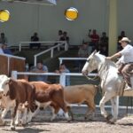 WhatsApp Image 2022-01-27 at 12.27.28