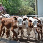 WhatsApp Image 2022-01-27 at 12.27.29 (1)