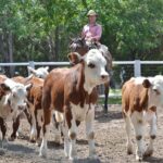 WhatsApp Image 2022-01-27 at 12.27.29