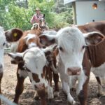 WhatsApp Image 2022-01-27 at 12.27.29 (2)