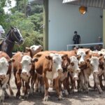 WhatsApp Image 2022-01-27 at 12.27.30 (1)