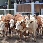 WhatsApp Image 2022-01-27 at 12.27.30