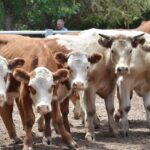 WhatsApp Image 2022-01-27 at 12.27.30 (2)