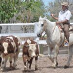 WhatsApp Image 2022-01-27 at 12.27.31 (1)