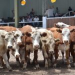 WhatsApp Image 2022-01-27 at 12.27.31