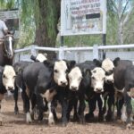 WhatsApp Image 2022-01-27 at 12.27.31 (2)