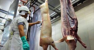 Frigoríficos piden que la carne de cerdo se incluya en el índice de inflación