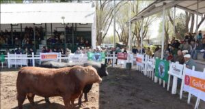 La Rural Río Quinto ya le puso fechas a la Fiesta del Ternero y la 93° Expo Rural