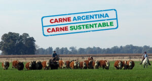 ¿Cómo producir carne vacuna de calidad y reducir las emisiones de metano?