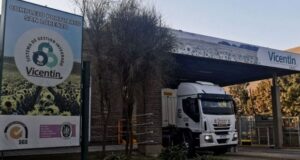 Demanda contra Vicentin: empresas agropecuarias reclaman por maniobras con los granos «a fijar»