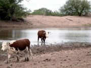 San Luis: el ministro de Producción se reúne hoy con las seis entidades rurales en La Toma