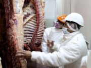Otra alerta por efecto de la sequía: podría caer la producción de carne
