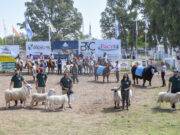 Ya tienen fecha las tres grandes fiestas del 2022 que distinguen a la Rural San Luis